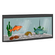 fish tank
